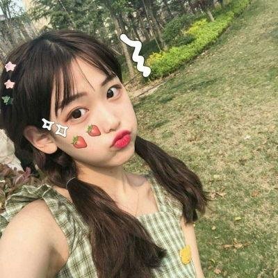 美国的儿子封面