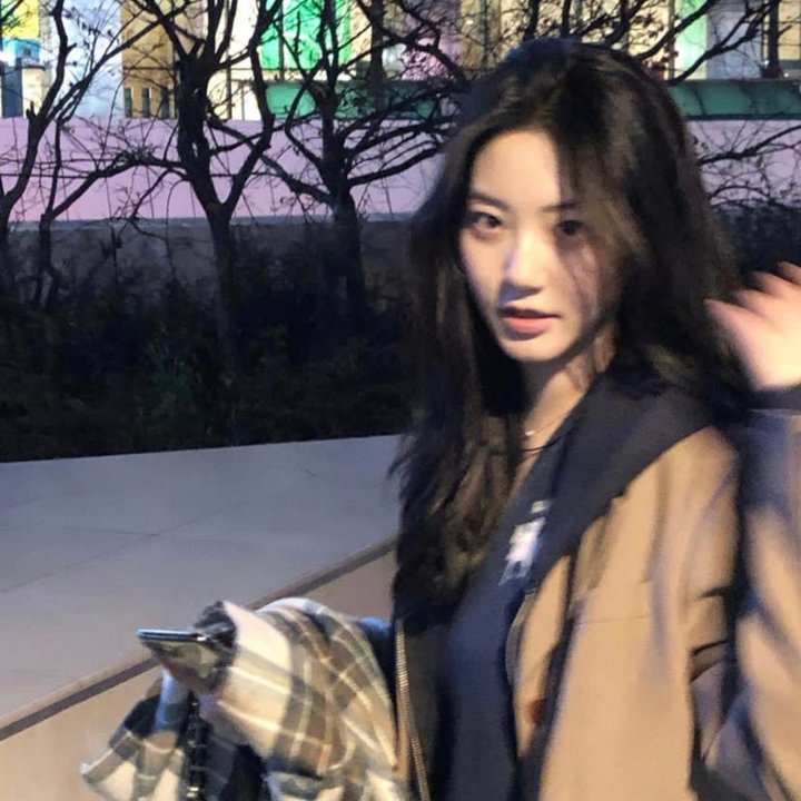 动物狂想曲 第二季